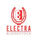 Electra Bloodstock logo